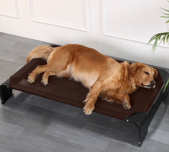 https://fulmo-img-server.com/dog-bed-lab/1729851858652_9d6uckpl_ã¹ã¯ãªã¼ã³ã·ã§ãã 2024-10-25 192407.png